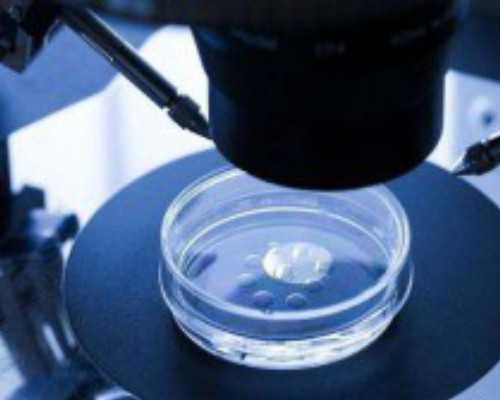 美国试管价格供卵_柬埔寨供卵合法吗_嘉兴供卵包男孩费用多少,嘉兴供卵试管费