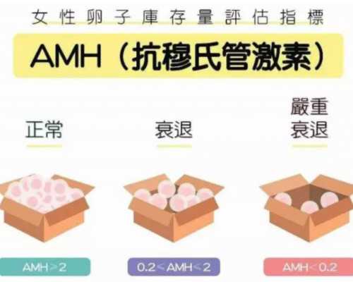 延安供卵试管,供卵试管费用