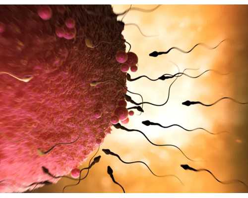 北京三医院供卵(北京供卵中心)_西安供卵代生男孩