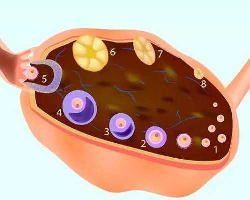 杭州专业助孕医院 杭州试管所需证件集锦 ‘b超看屁股查男女准吗’