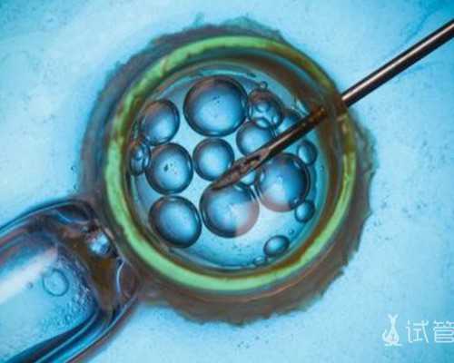 北京供卵试管|供卵试管供卵公司打降调可以同房吗