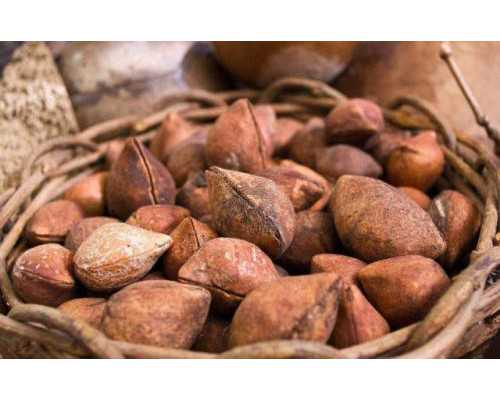 供卵试管中介_供卵助孕,天津有偿供卵机构（绍兴妇保院供卵要多少钱）