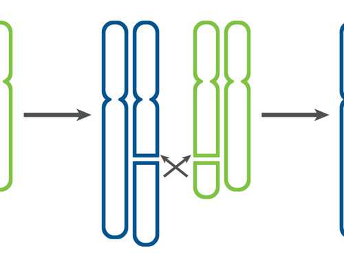 专业供卵中心地址_供卵自怀发育慢,北京供卵机构供卵包男孩费用约10万元,北
