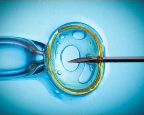 孕妇能吃蔓越莓干吗,试管助孕价格