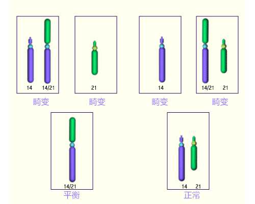 海口借卵地址-浙江卵巢早衰借卵