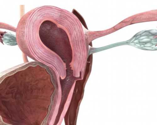 供卵三代包男孩_供卵中介,丹东供卵试管心态不好得改吗(供卵试管选男女)