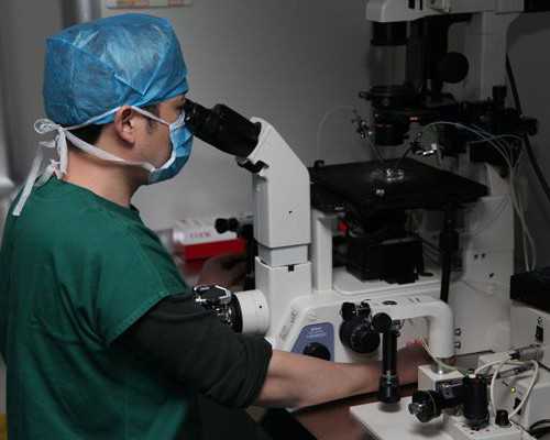 供卵医院有哪些_有供卵试管吗,拉萨三代供卵试管电话