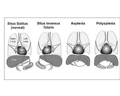 长沙供卵试管生子网怎么样 2026长沙生殖医院名单大全-附供卵试管助孕指南 ‘