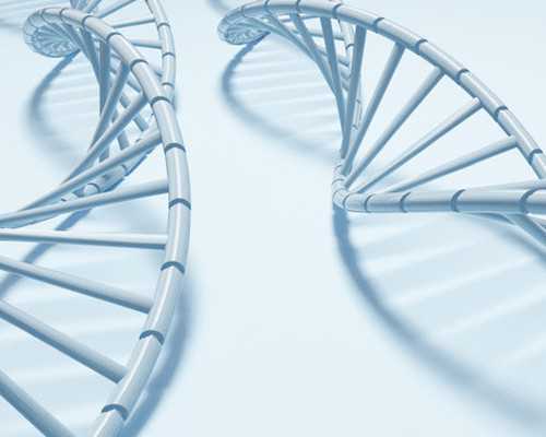 怀孕初期肚子饿得快怎么回事