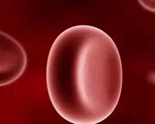 海口供卵代怀套餐