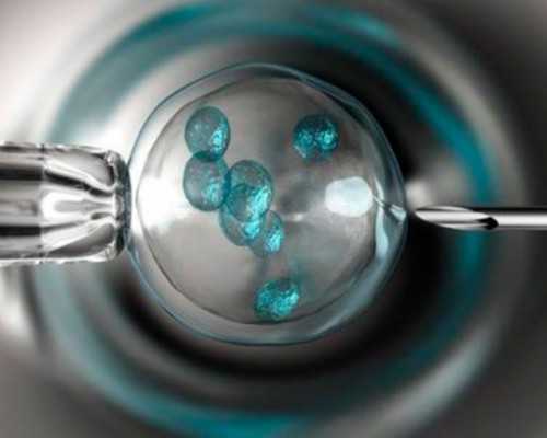 重庆有正规助孕中心吗 2026年重庆产假最新政策 ‘13周怀孕b超单数据男孩女孩’