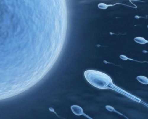 前列腺炎,影响试管婴儿成功率吗?,代怀产子