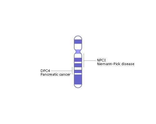 做供卵试管助孕_供卵孩子血型_二代试管婴儿技术ICSI精子的选择