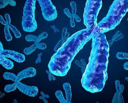 供卵中介_地下供卵可靠试管,桂林924医院供卵三代试管费用介绍！附广西供卵机