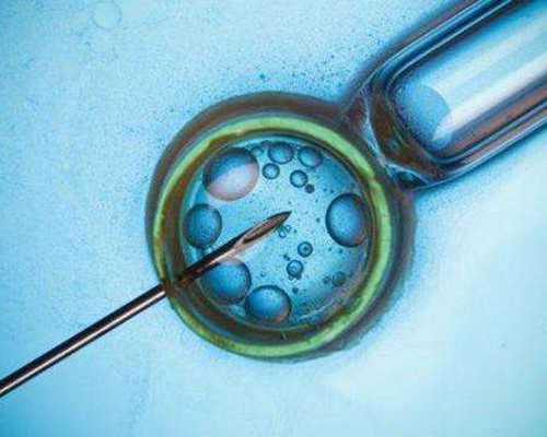 排卵试纸弱阳同房,借卵代生代怀