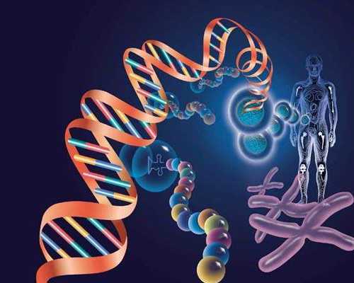 绝经供卵论坛_供卵排队等多久_女性不孕不育的排查到底该如何进行呢?