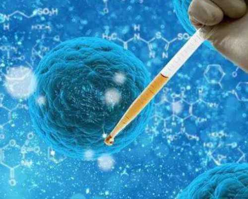 国内供卵合法吗_做供卵试管助孕_朝阳正规供卵试管婴儿怎么找啊