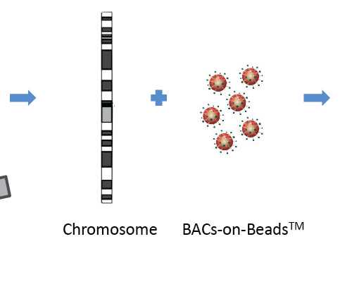 供卵合法的中心_紫朵朵供卵价格表,北京供卵中介真相（聊城供卵）_潍坊供卵医