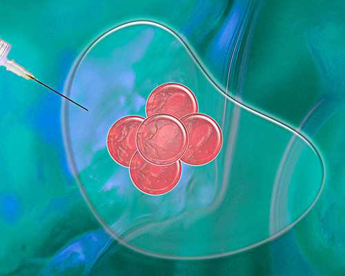 多囊吃氯米芬正确用法？第几天吃关乎到卵泡长不长！