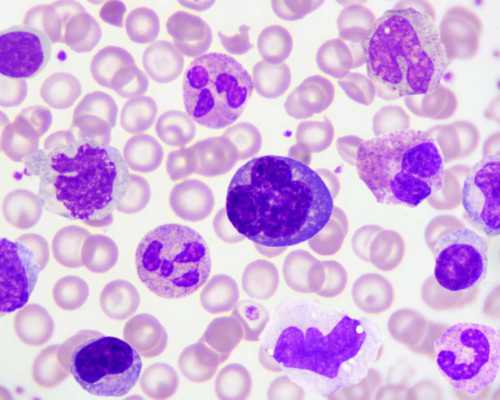 妇幼做供卵试管吗_供卵试管过程,北京供卵中心|供卵试管费用|供卵试管能怀男