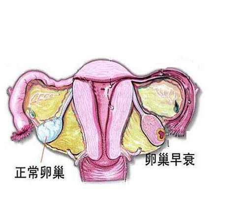 海口哪些代孕公司|海口三代试管婴儿医院排名?海口哪家试管医院好?