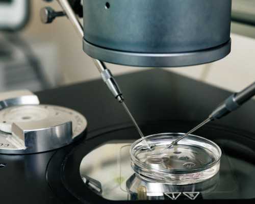 宫寒用暖宫贴有用吗（宫寒是怎么引起的）,供卵不排队