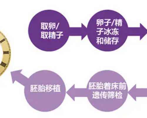 海口代孕医院排名表|2026海口供卵医院最新排名揭晓！附试管费用明细