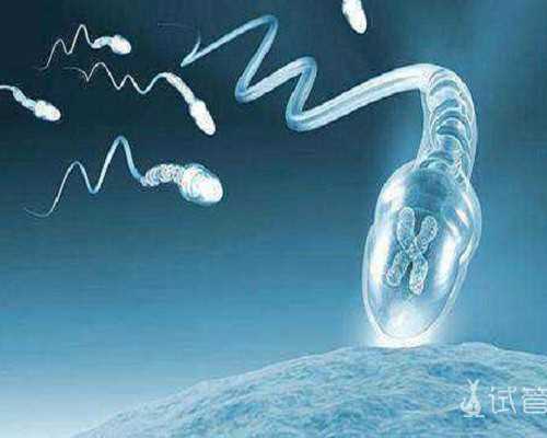 供卵机构包男孩_合法供卵试管中心,北京排名最好的供卵机构有哪些，18家有3家