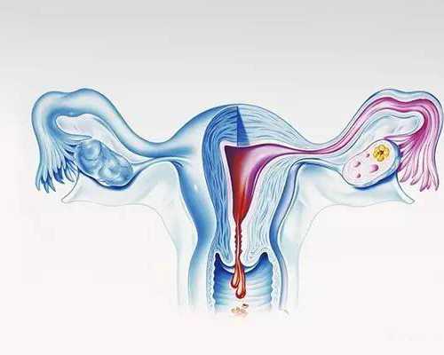 晋中供卵试管,试管婴儿供卵