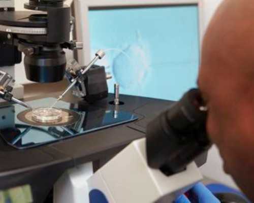 试管用供卵条件_供卵人工_试管婴儿一超二超三超怎么回事