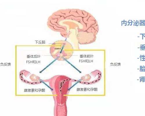 海口做试管婴儿最好的医院排行榜，附2026三代试管生男孩条件分析