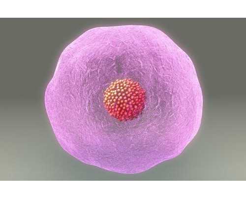 海口有几家代生公司|海口三代试管婴儿医院排名?海口哪家试管医院好?