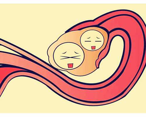 供卵机构包男孩_合法供卵试管中心_深圳武警医院做试管鲜胚移植的成功率高吗