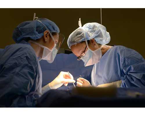 供卵试管成功率_供卵地址,天津供卵试管医院排名？供卵试管费用多少钱？