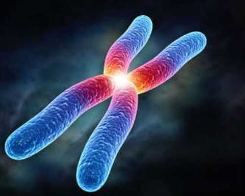 哪个医院可以供卵_供卵是怎么操作_九江妇幼保健医院做供卵第三代试管婴儿费