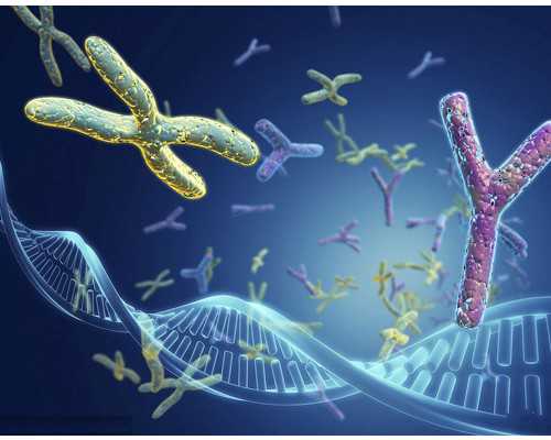 做试管婴儿痛不痛