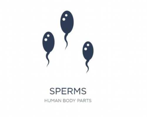 正规的供卵中心_供卵中心排名_交界性肿瘤手术后能否做试管?