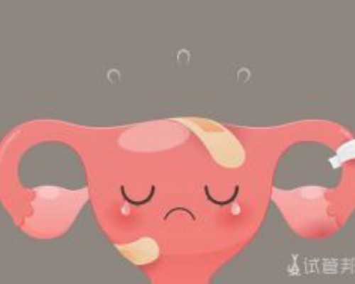 高龄供卵试管婴儿_供卵试管中介,42岁试管供卵成功率,45岁供卵成功率