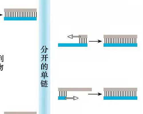 供卵三代选男孩_国内试管供卵_长葛市哪家医院做供卵试管婴儿的技术好?