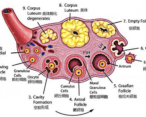 供卵在海口有吗,海南海口供卵试管医院[I59/27I4/O4IO]海口供卵的有吗