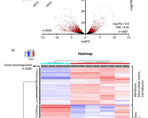 供卵技术_我的供卵试管经历_2026
年云南省普洱市最新供卵试管助孕医院排名汇