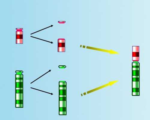 青岛现在助孕要多少钱 青岛王静怡保胎厉害吗？具体如何？ ‘怀孕有哪些症状