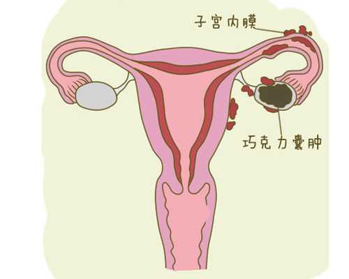 孕晚期，到底是什么决定胎儿要分娩呢？？？