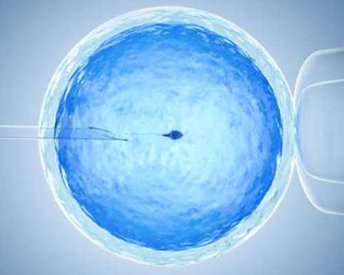 「不孕不育」卵泡排掉与卵泡萎缩区别