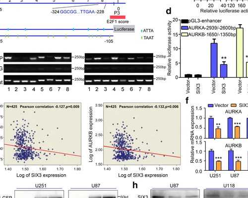 海口怎么看待捐卵