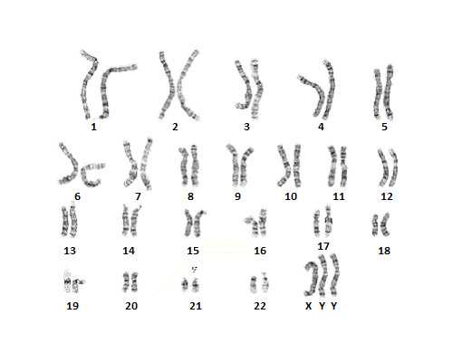 供卵需要什么手续_地下供卵试管电话_肇庆申请供卵做一次试管费用大概多少?