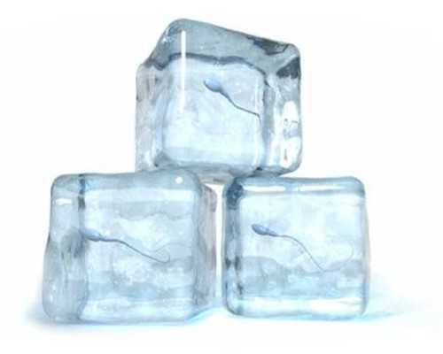 海口合法代怀网-浙江提供代怀费用