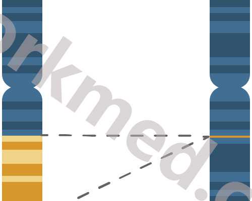 排卵期身体会有哪些症状,月经干净后几天怀孕率最高