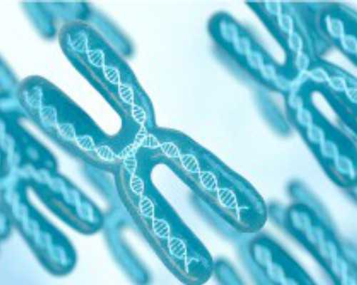 海口女性染色体异常做三代试管成功率高吗-正规三代试管机构