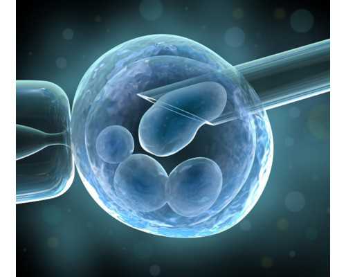 北京试管助孕机构,找女人代怀产子公司,试管婴儿包成功包生男孩-合欢树